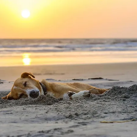 Traumhafte Wellenmeer, Wellness Trifft Auf Historische Seefahrtschule Apartment *